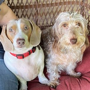 Meet your Posher, Lynn chad